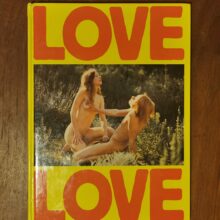 Cover Love Love Cover Love Love