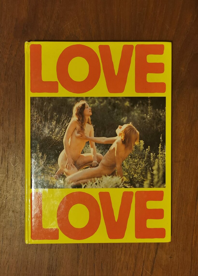 Cover Love Love