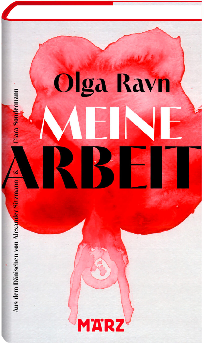 Cover Ravn, Meine Arbeit in 3D