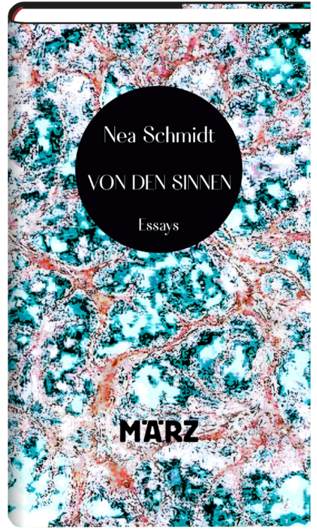 Cover Schmidt Von den Sinnen 3D